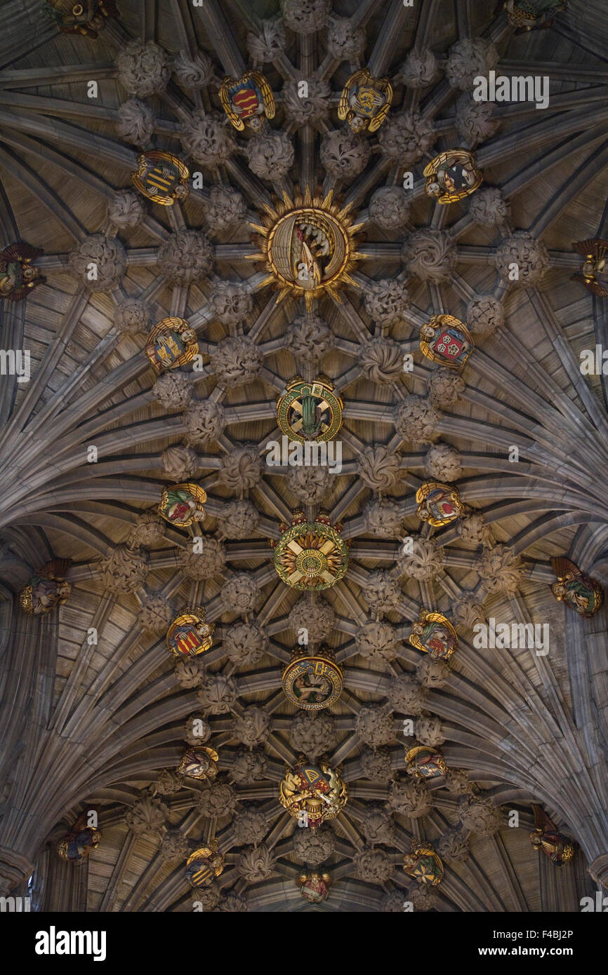 Decke der Distel-Kapelle in der Kathedrale von St Giles, Edinburgh, Schottland. Stockfoto