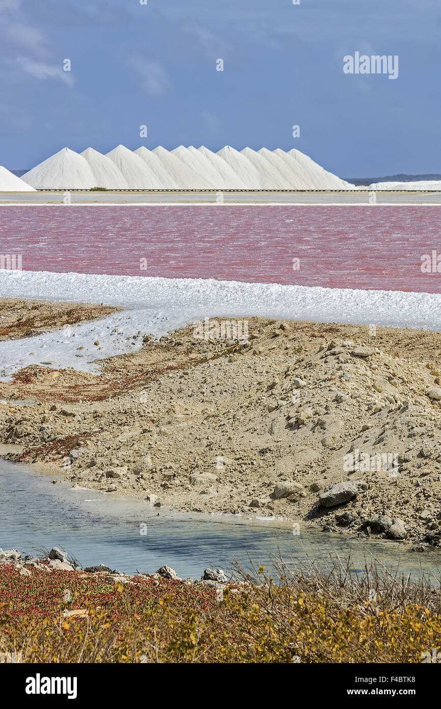 Salzproduktion Bonaire Niederländische Antillen Stockfoto