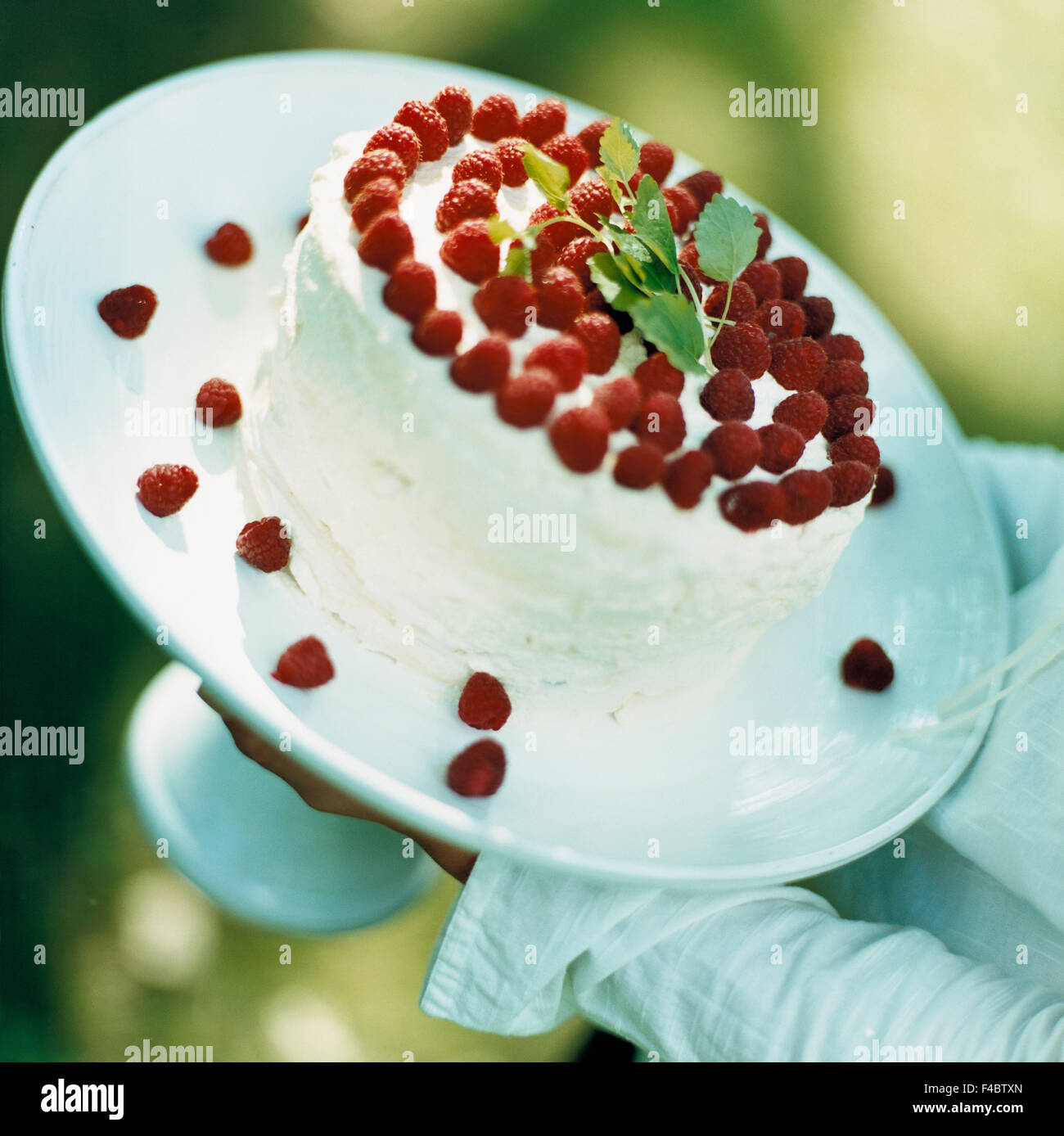 Berry Geburtstag Geburtstag Party Kuchen Farbe Bild Essen Essen und trinken im freien Himbeer Sommer Sommer essen Stockfoto