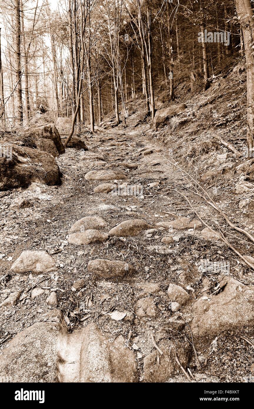 stark befahrene Straße vor langer Zeit Sepia, Stockfoto