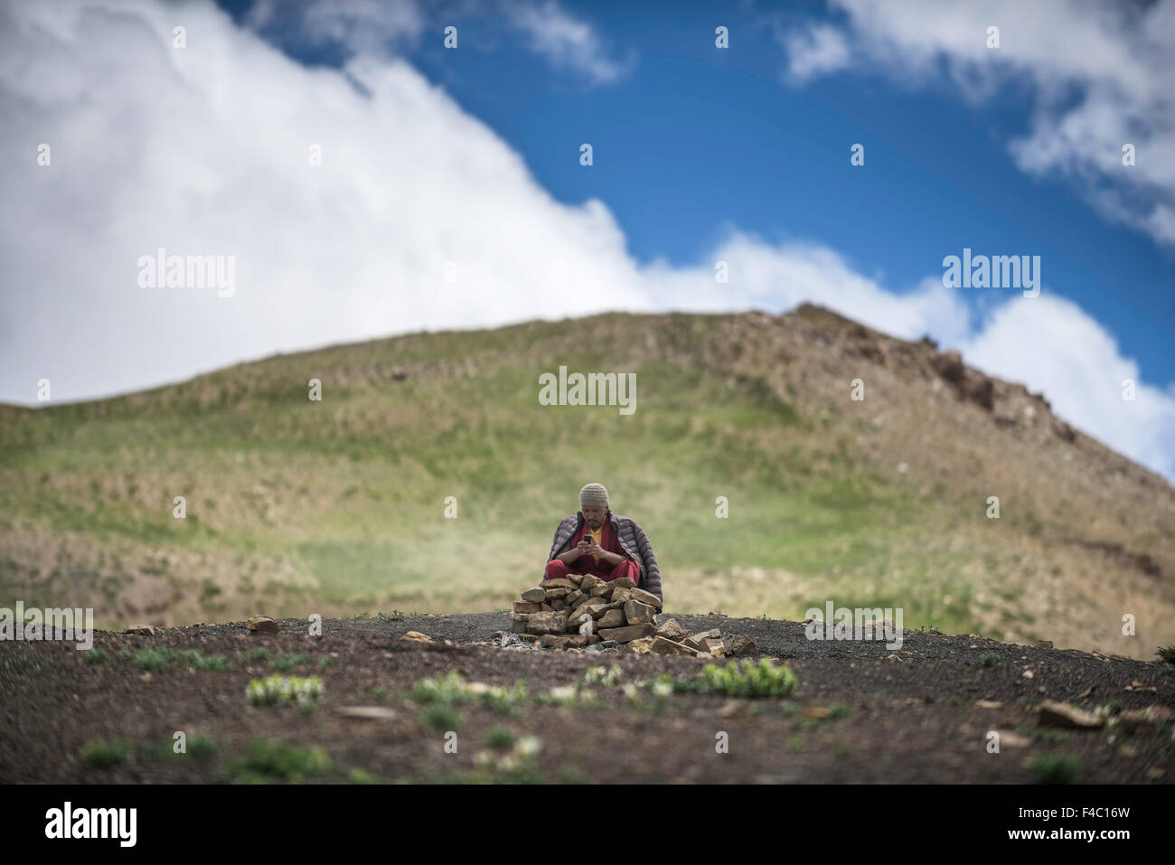 Lama ist beschäftigt mit Mobile im Hochgebirge des Himalaya Stockfoto