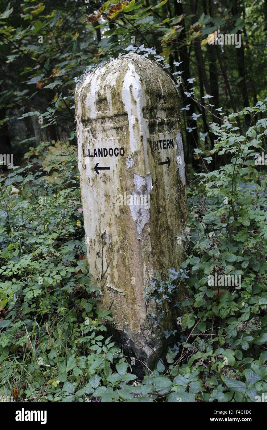 Alten Meilenstein weist uns den Weg zur Tintern und Llandrogo, Wye Valley gehen, Monmouthshire Stockfoto