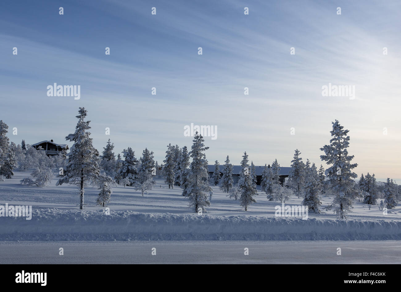 Finnische Märchenwald in Saariselkä Stockfoto