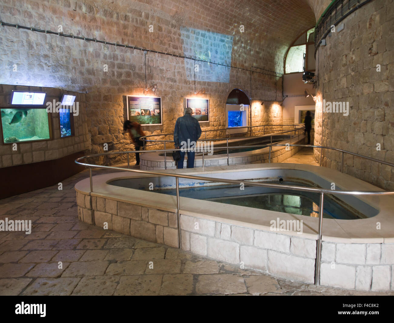 Zusätzlich zeigt das Mittelmeer leben, hat das Aquarium in Dubrovnik Kroatien eine imposante Haus in der alten Festungsmauern Stockfoto