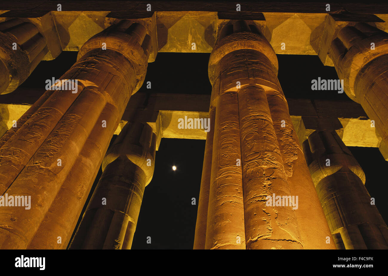 Ägypten, Luxor, Ägypten, Spalte von Amenophis III im Luxor-Tempel (großformatige Größen erhältlich) Stockfoto