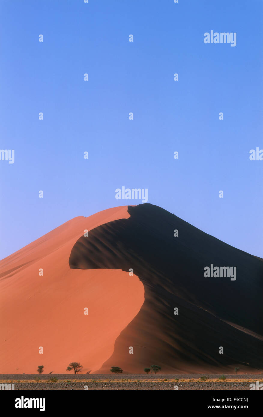 Namibia, Sossusvlei, Namib-Naukluft National Park, Blick auf riesigen roten Sanddünen der Wüste (großformatige Größen erhältlich) Stockfoto