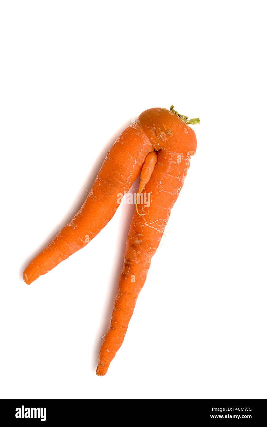Ein merkwürdig geformte Karotte, die aus unvollständigen Bestäubung (nicht isoliert) Stockfoto