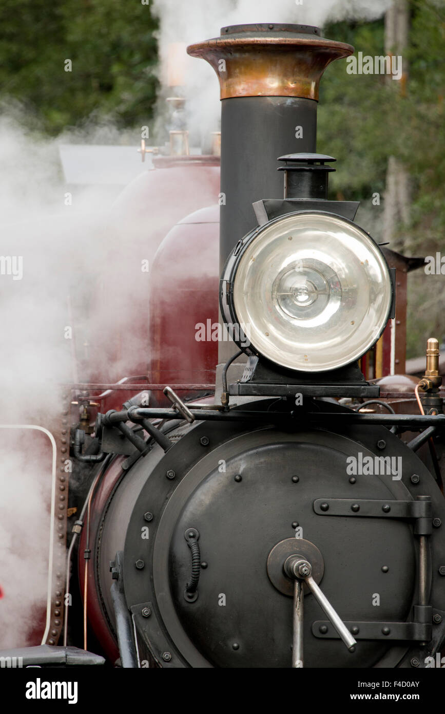 Australien, Dandenong Ranges. Puffing Billy, Detail des Motors von historischen Oldtimer Dampfzug, etwa Anfang des 20. Jahrhunderts. Belgrave Station. (Großformatige Größen erhältlich) Stockfoto