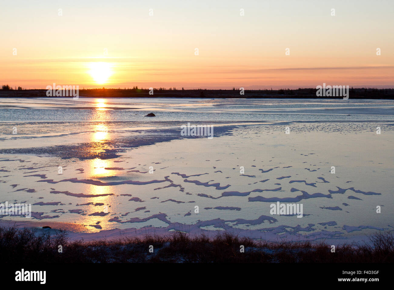 Sonnenuntergang Churchill Wildlife Management Area, Churchill, MB Stockfoto