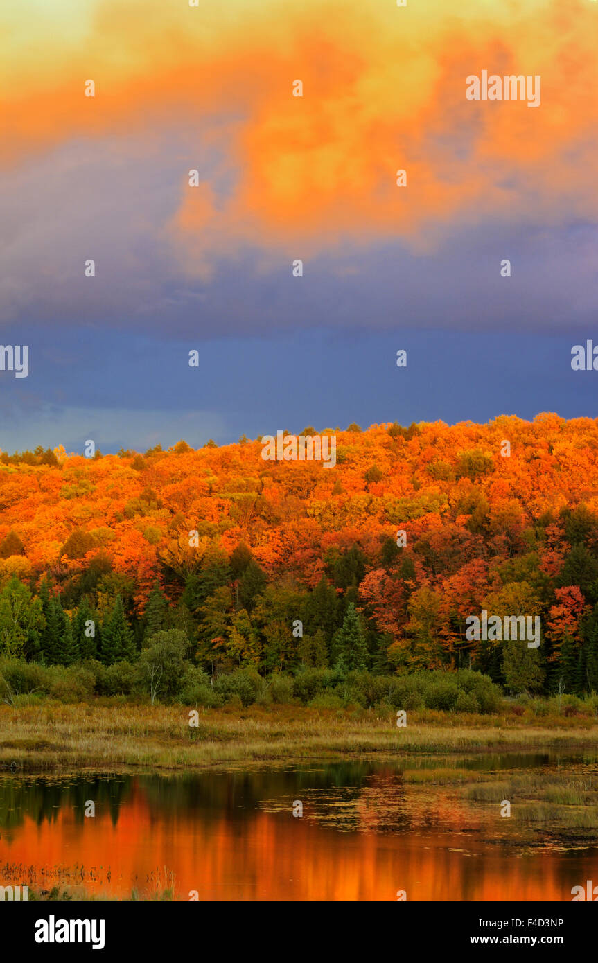 Kanada, Ontario, Habichtsbitterkraut See. Bunten Himmel und Wald bei Sonnenuntergang. Kredit als: Mike Grandmaison / Jaynes Galerie / DanitaDelimont.com Stockfoto