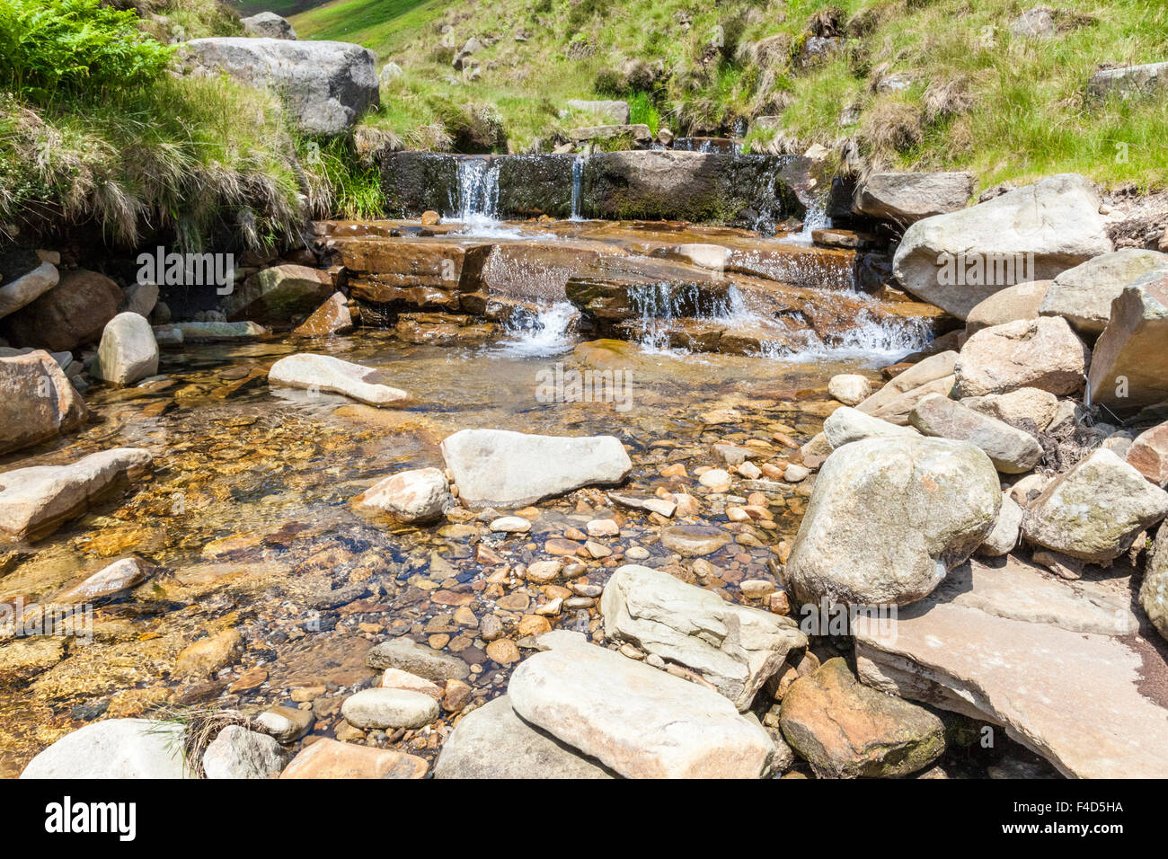 Stream fließende Wasser über die Felsen und Steine durch die Landschaft im Sommer, crowden Clough, Derbyshire, Peak District National Park, England, Großbritannien Stockfoto