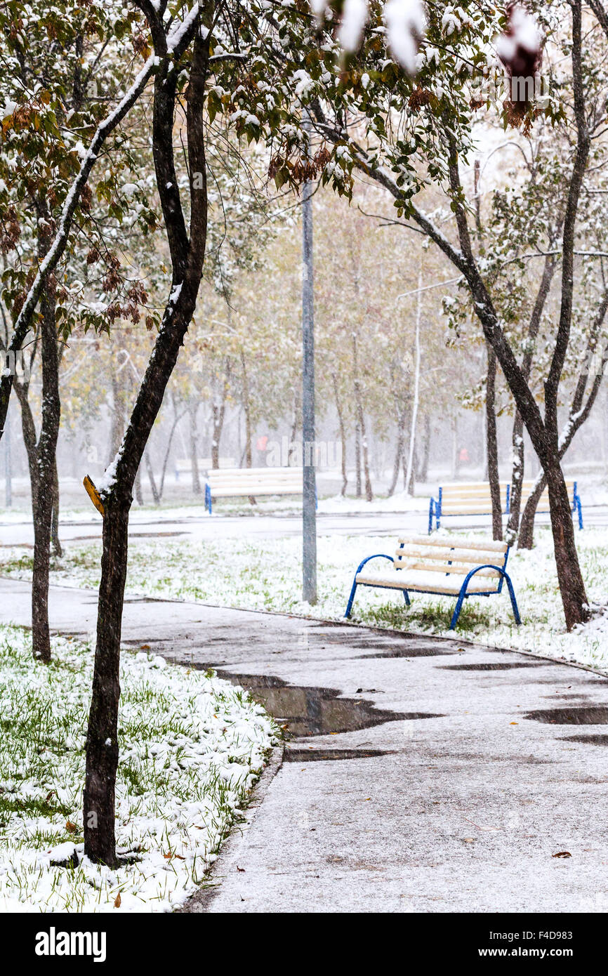 Erster Schnee im Stadtpark in Herbsttag Stockfoto