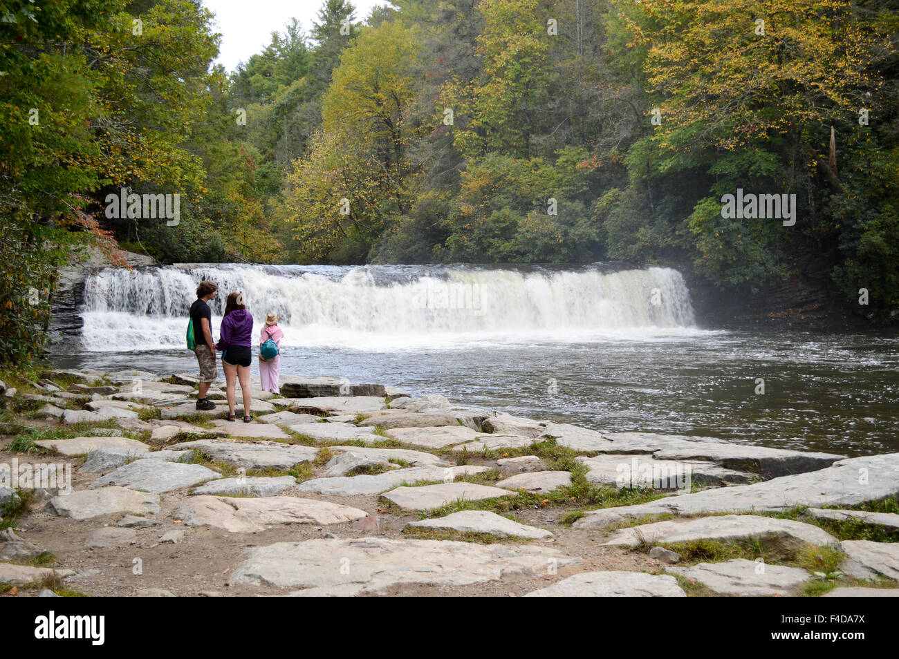 Dies fällt Hooker im Dupont State Forest, in der Nähe von Brevard, North Carolina gelegen. Stockfoto