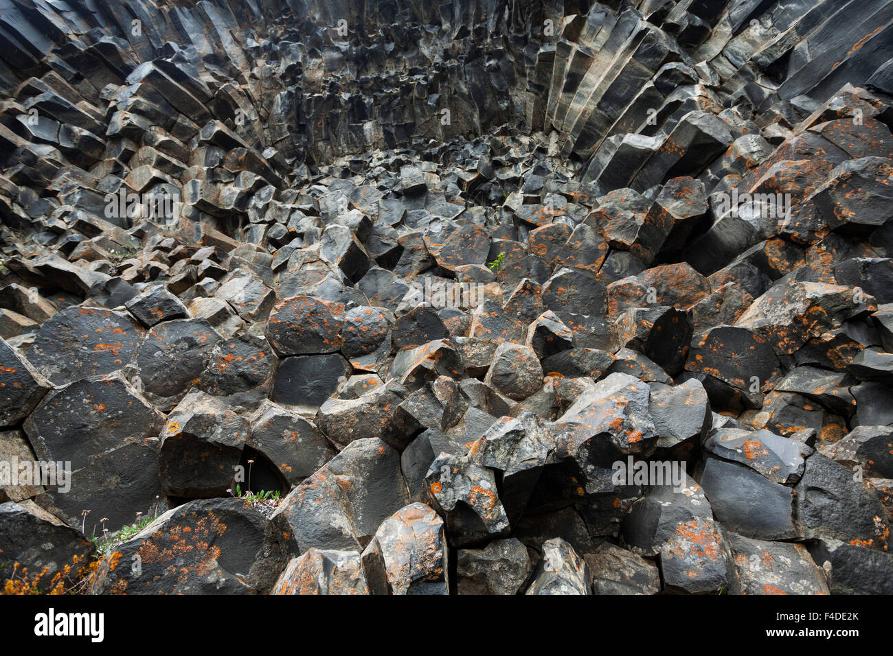 Natürlichen Muster der Basaltfelsen am Hljodaklettar, Jokulsargljufur, Nordhurland Eystra, Island. Stockfoto