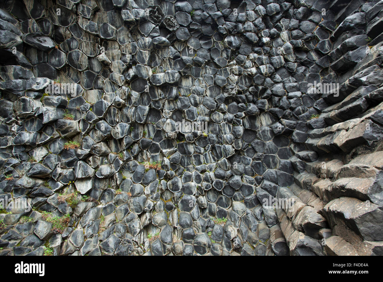 Wabenmuster von Basaltgestein in Hljodaklettar, Jokulsargljufur, Nordhurland Eystra, Island. Stockfoto