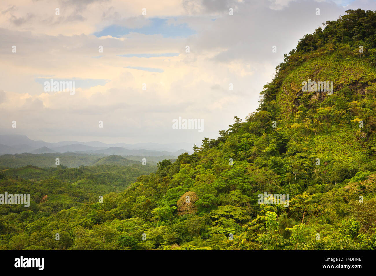 Regenwald unter Cerro La Vieja (oben rechts) in Chiguiri Arriba, Cordillera Central, Provinz Cocle, Republik Panama. Stockfoto