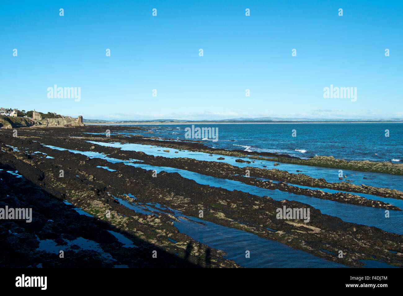 Burg von St Andrews und West Sands, Schottland Stockfoto