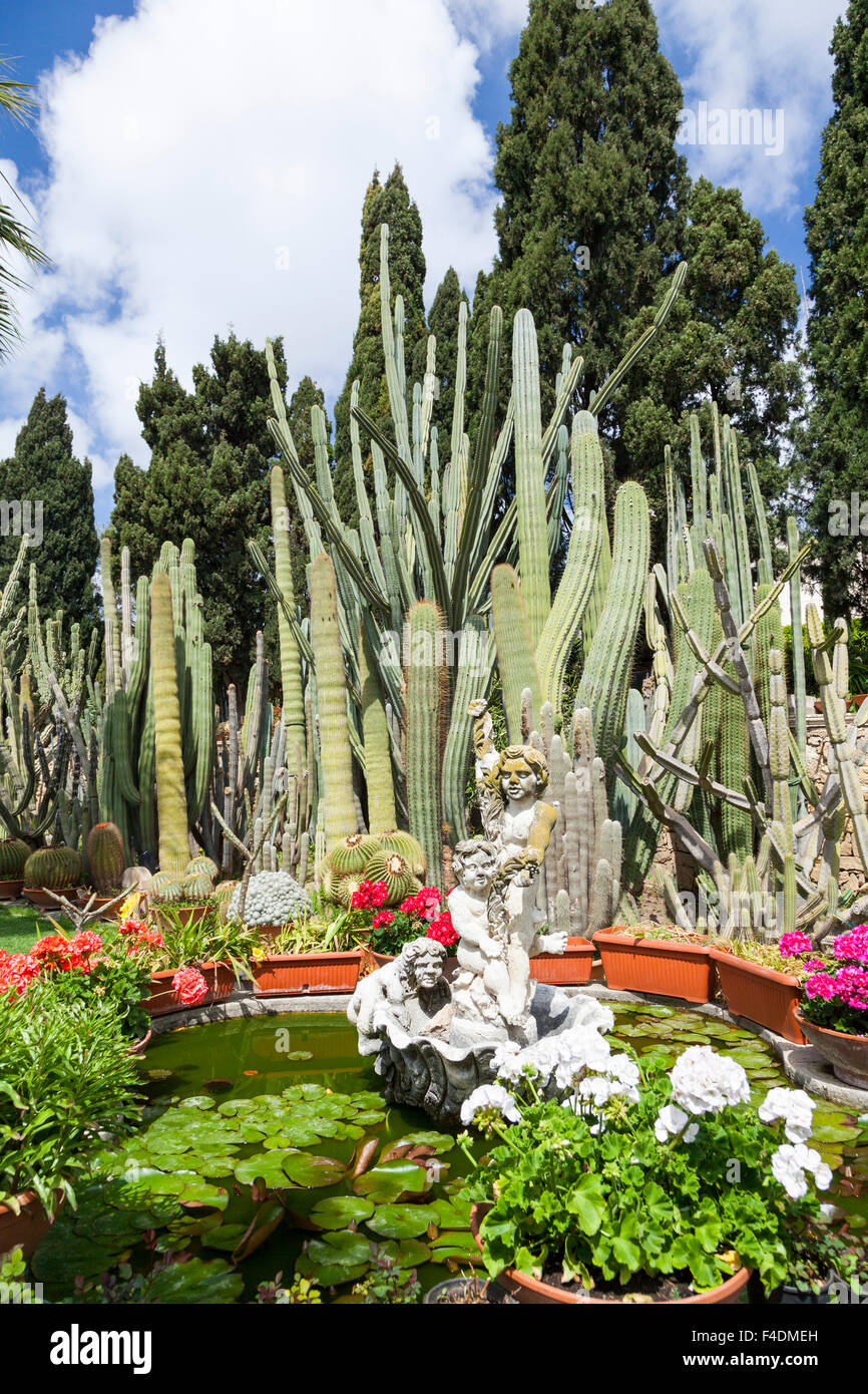 Park mit Kaktus auf Malta. Europa, Sdeuropa, Malta Stockfotografie - Alamy