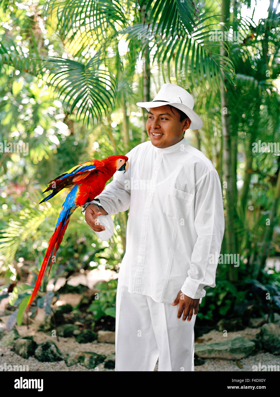 Ein mexikanischer Mitarbeiter hält eine Ara Papagei vor der Fütterungszeit im Maroma Spa and Resort. Riviera Maya, Yucatan, Mexiko Stockfoto