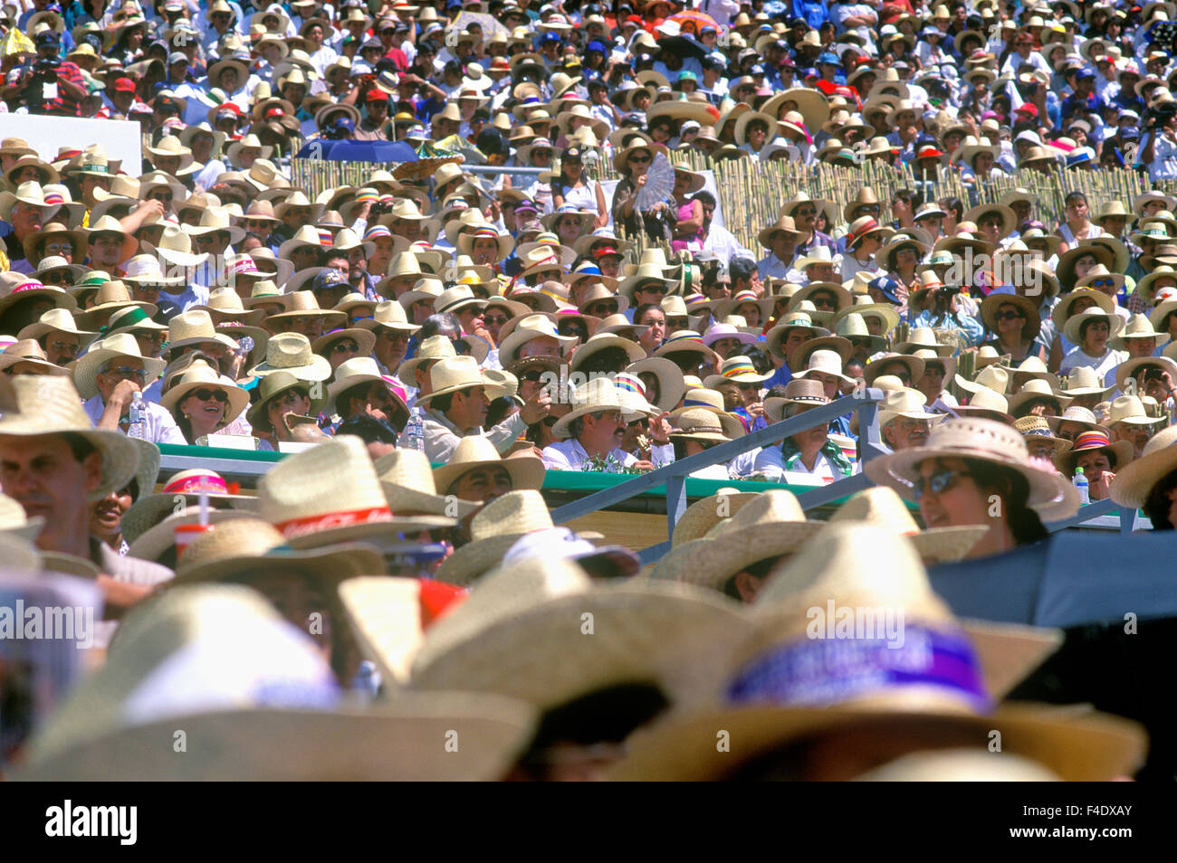 Zuschauer beobachten die Feierlichkeiten auf dem Guelaguetza Festival in Oaxaca-Stadt. Oaxaca-Stadt. Oaxaca, Mexiko. Stockfoto