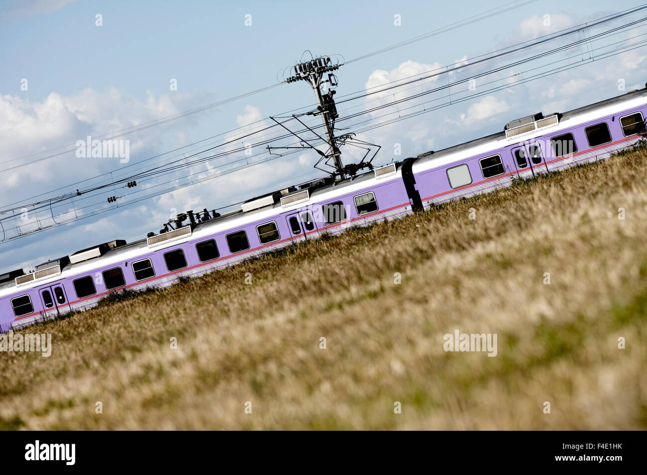 S-Bahn auf dem Lande, Skane, Schweden. Stockfoto