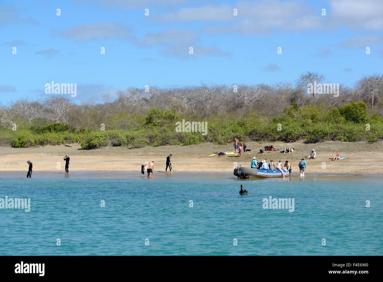 Südamerika, Ecuador, Galapagos-Inseln, Insel Floreana. Touristen am Strand von Post Office Bay. (Großformatige Größen erhältlich) Stockfoto