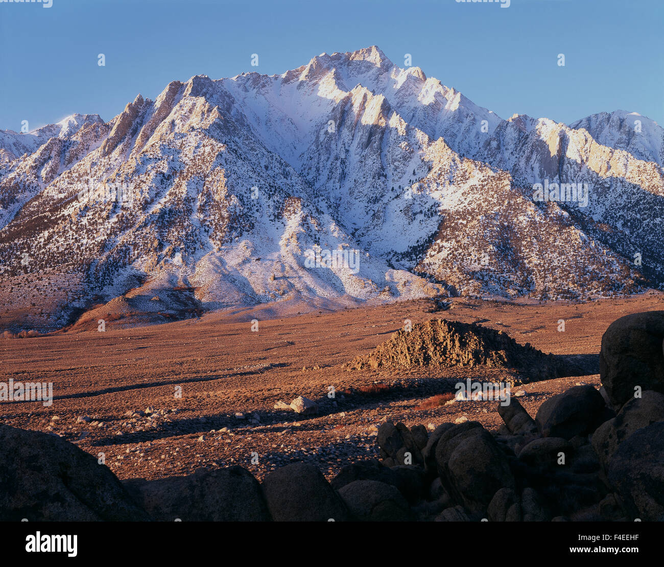 California, Sierra Nevada Mountains, A bedeckten Schnee frisch Mount Williamson von der Alabama Hills gesehen. (Großformatige Größen erhältlich) Stockfoto
