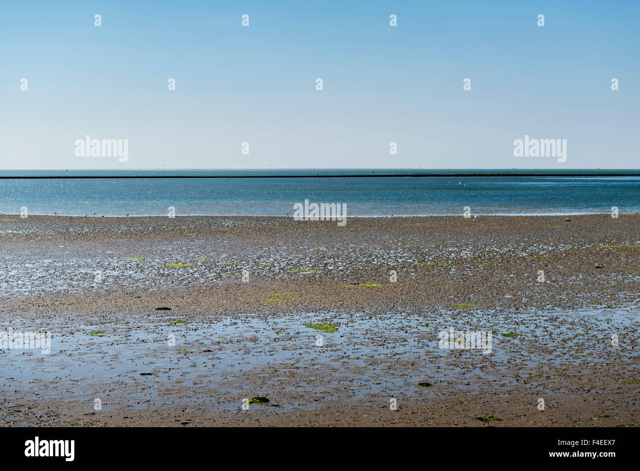 4. Juli, 2014 Gezicht Op de Wattenmeer. Blick auf das Wattenmeer, Wattwanderungen in Hülle und Fülle.  Foto Kees Metselaar Stockfoto