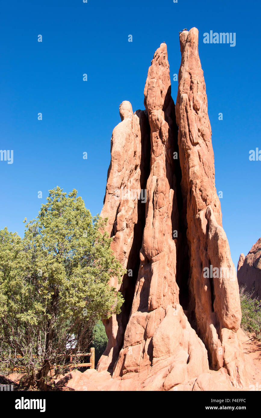 USA, Colorado, Colorado Springs. Garten der Götter ist ein nationales historisches Wahrzeichen mit Wanderwegen durch roten Felsformationen. Diese "Drei Grazien" genannt. Stockfoto