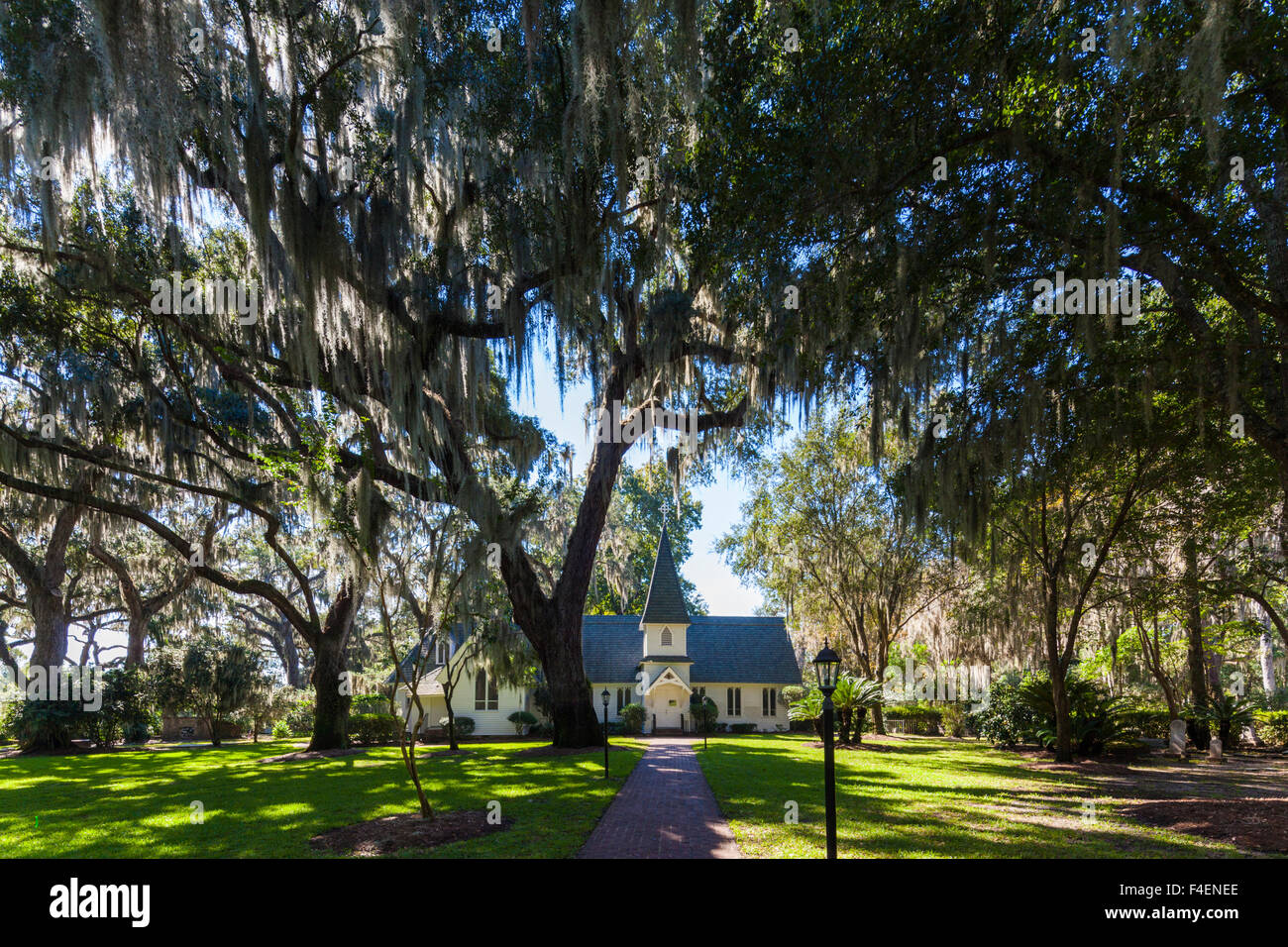 Georgien, St. Simons Island, Frederica, Christ Church und Live Oak Bäume Stockfoto