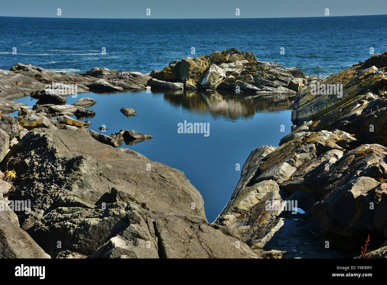 Möwe Bucht, Monhegan Island, Maine, USA. Stockfoto