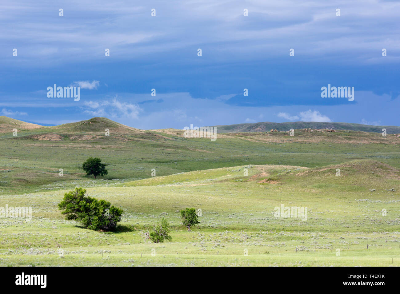 Montana, Prairie County, USA, Big Sky zurück Country Byway, stürmischen Himmel. Stockfoto