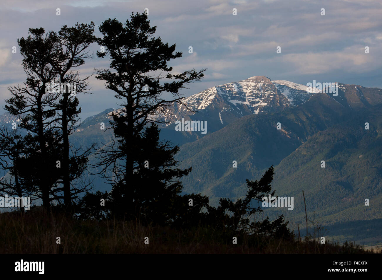 Bison Range National Wildlife Refuge, Mission Berge Stockfoto