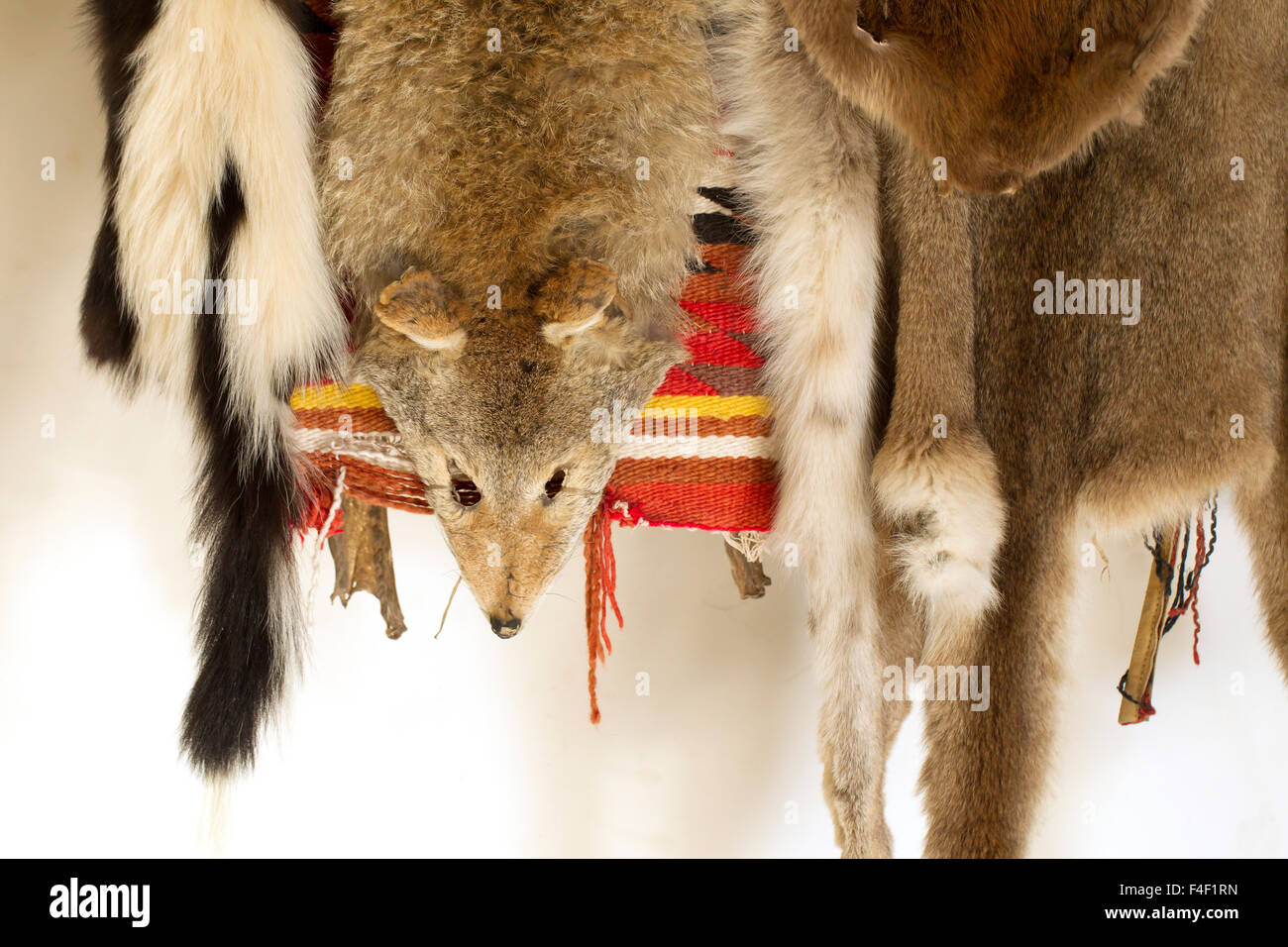Tierfelle und Teppiche im Musée Kit Carson, Siedlung, New Mexico, USA. Stockfoto