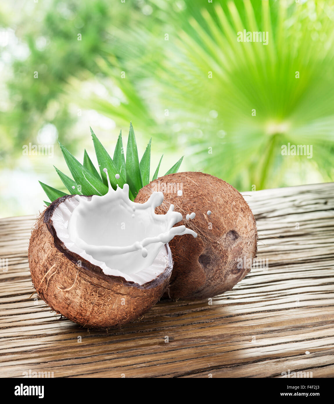 Kokosnuss mit Milch Spritzen drin auf dem Holztisch. Stockfoto