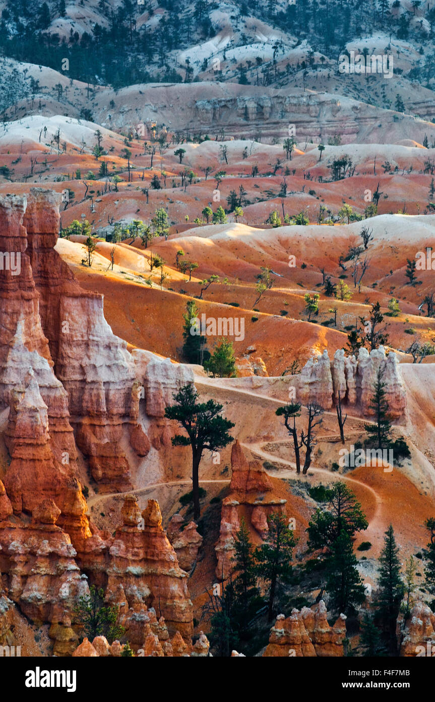 USA, Utah. Hoodoo-Formationen im Bryce-Canyon-Nationalpark. Kredit als: Nancy Rotenberg / Jaynes Galerie / DanitaDelimont.com Stockfoto