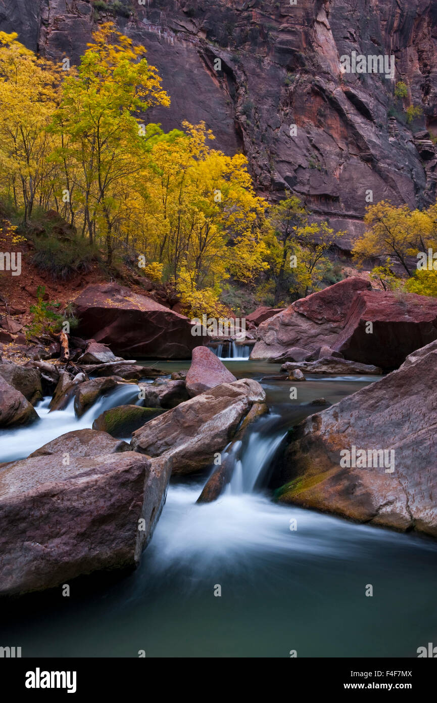 USA, Utah, Zion National Park. Canyon-Wasserfall mit Pappeln. Kredit als: Nancy Rotenberg / Jaynes Galerie / DanitaDelimont.com Stockfoto