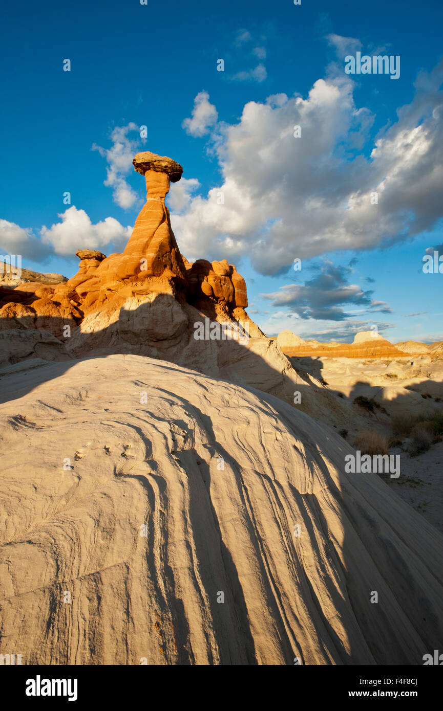 Fliegenpilz Area of Highway 89 in der Nähe von Kanab, Utah und Arizona Seite. BLM Land, Grand Staircase-Escalante National Monument Stockfoto