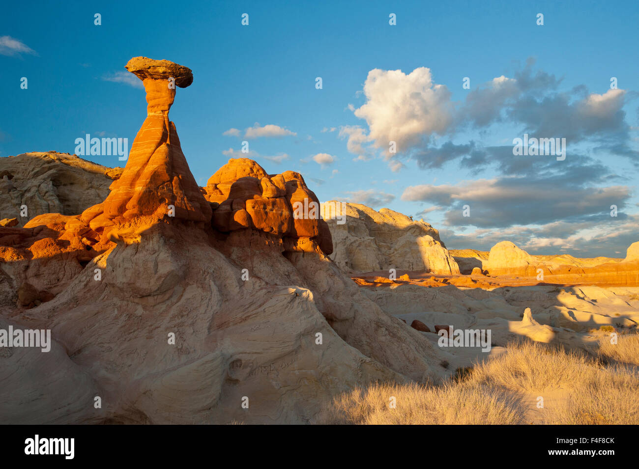 Fliegenpilz Area of Highway 89 in der Nähe von Kanab, Utah und Arizona Seite. BLM Land, Grand Staircase-Escalante National Monument Stockfoto
