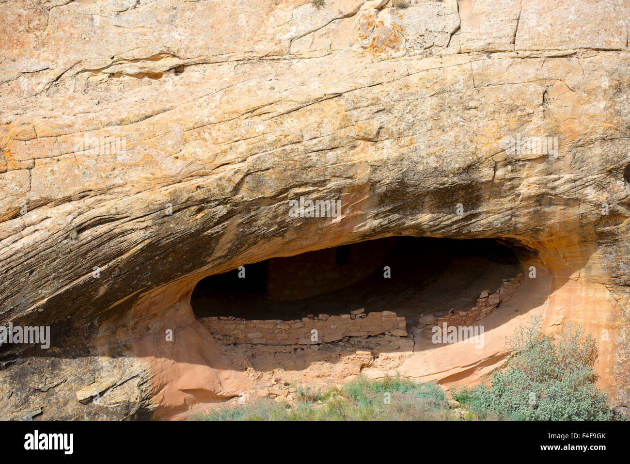 Butler Wash Ruinen, in der Nähe von Comb Ridge, eine kurze Wanderung von UT95. Diese Anasazi oder Ancestral Puebloan Ruine verfügt über 4 Kivas und ist in eine defensive Position, in der Nähe einer Wasserquelle zu bauen. (Großformatige Größen erhältlich) Stockfoto