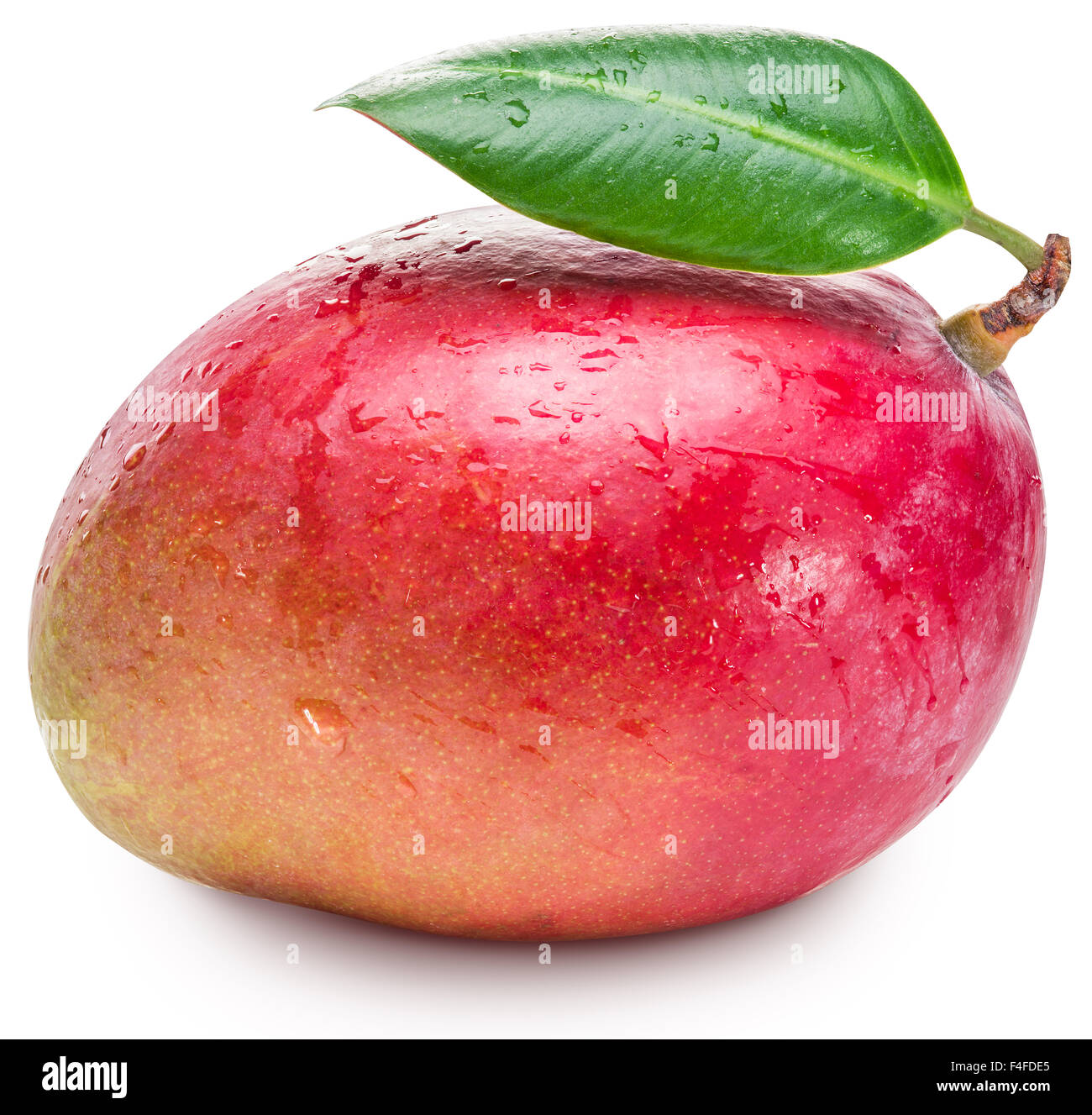 Mango-Frucht mit Blatt auf dem weißen Hintergrund isoliert. Das Bild von hoher Qualität. Stockfoto