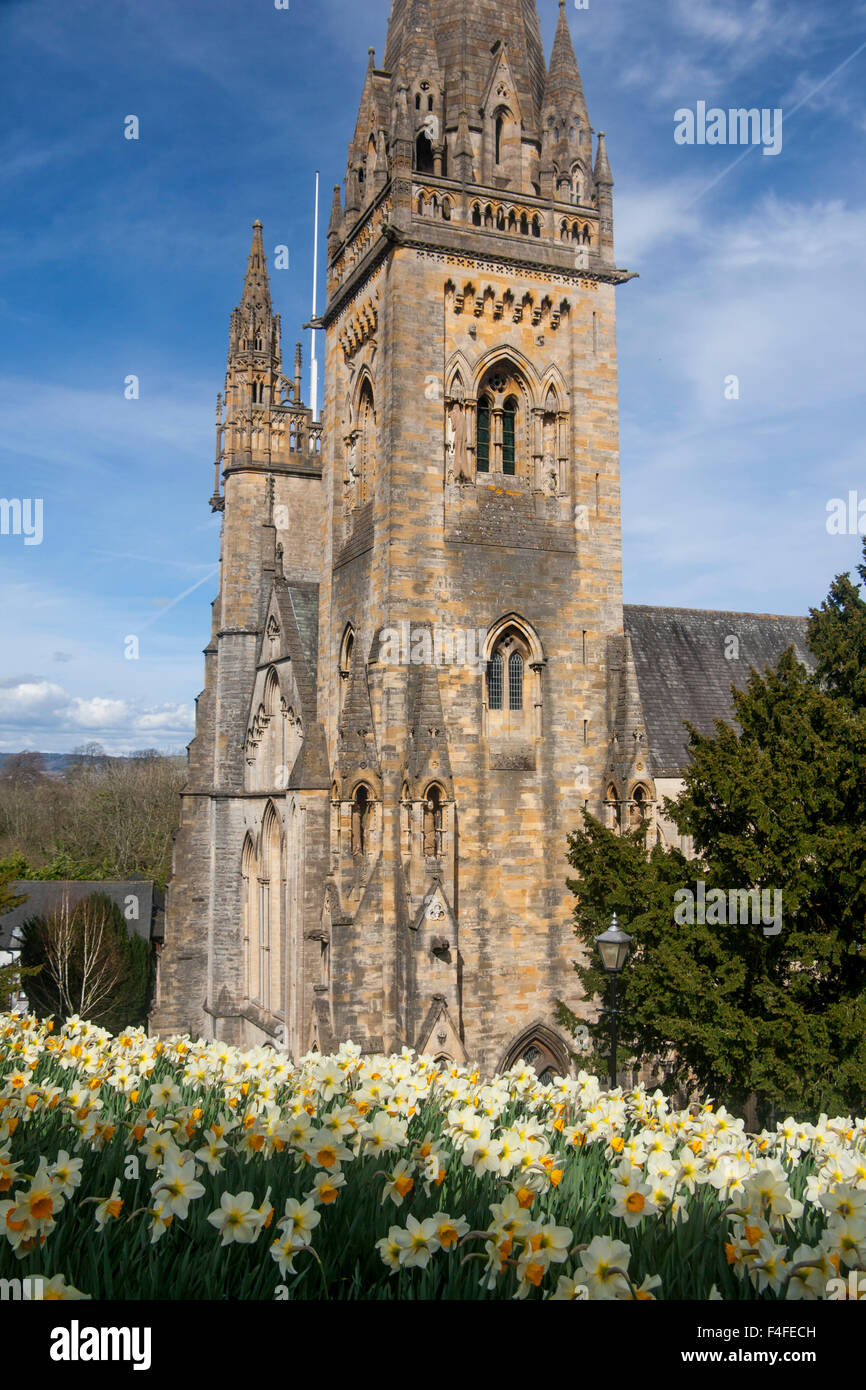 Llandaff Kathedrale im Frühling mit Narzissen im Vordergrund Cardiff Wales UK Stockfoto