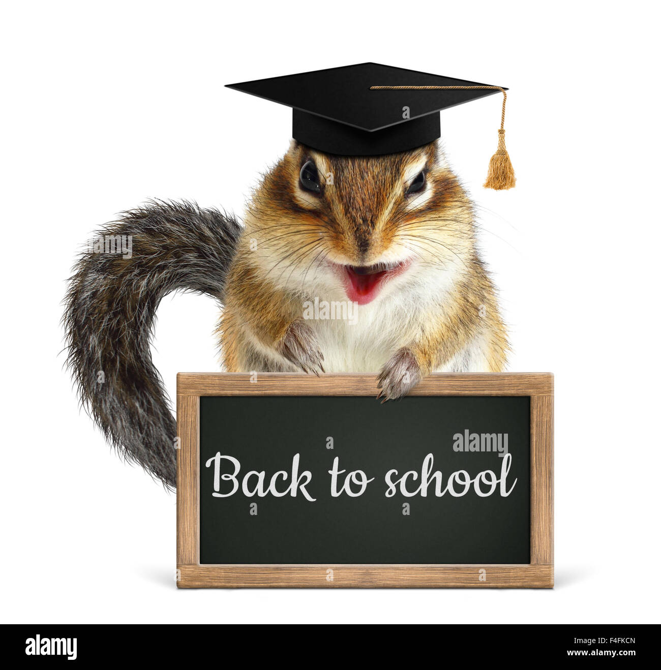 Lustige Streifenhörnchen halten Tafel, zurück zum Schulkonzept auf weiß Stockfoto