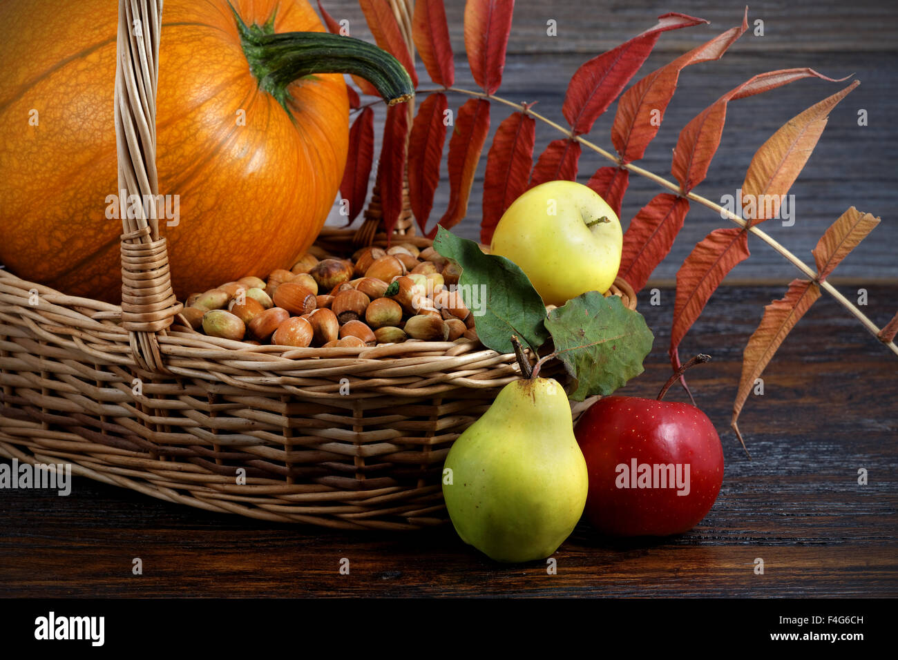 Natur Hintergrund gemacht Herbst Früchte auf Holztisch Stockfoto