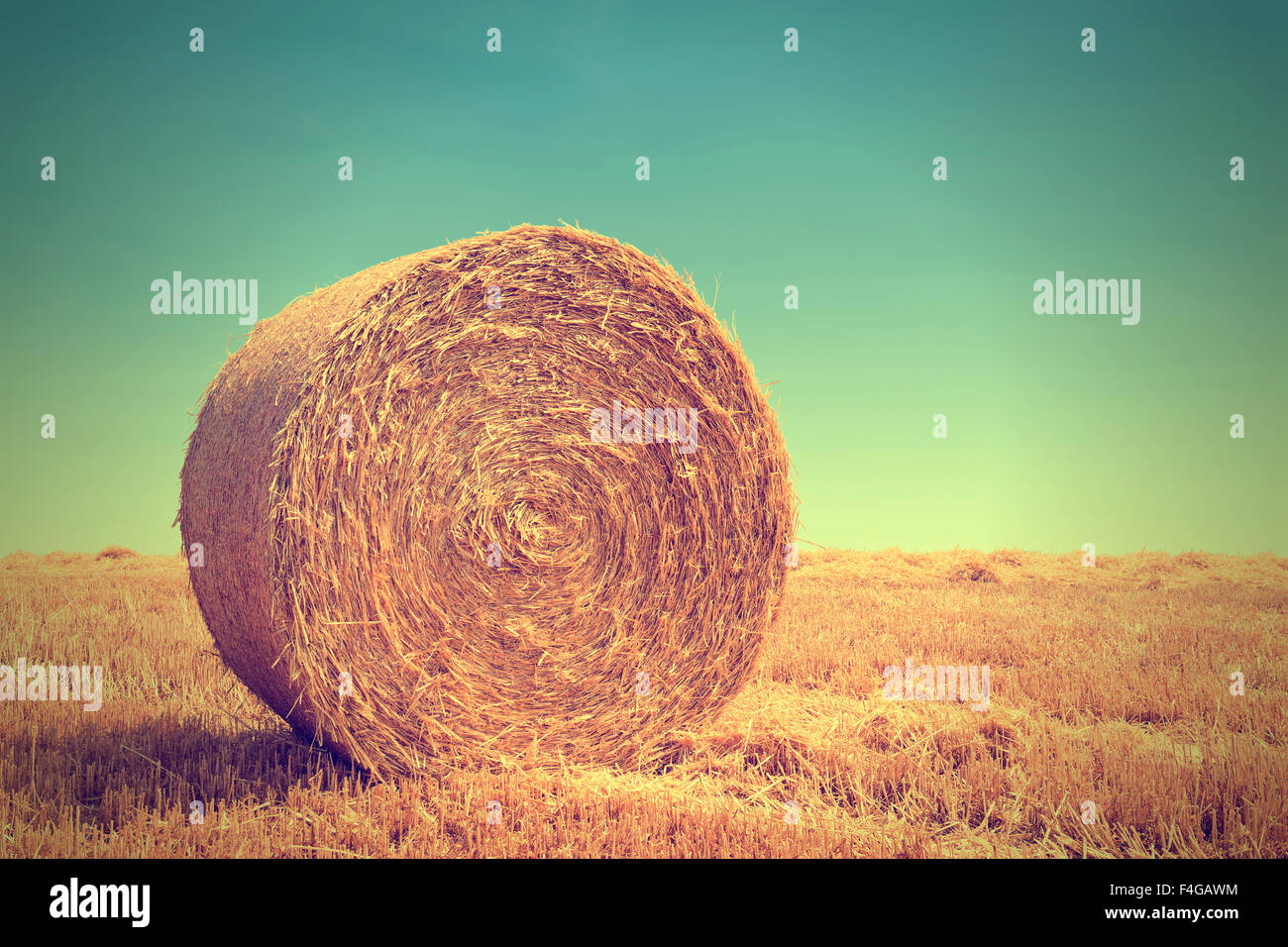 Ballen aus Stroh auf blauen Himmel Backgound mit Exemplar nach der Ernte gepresst Stockfoto