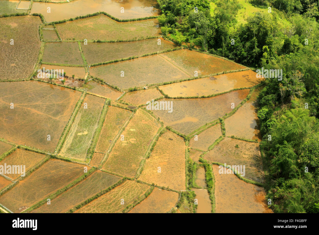 Berg von Borneo (Aerial Shoot) Stockfoto