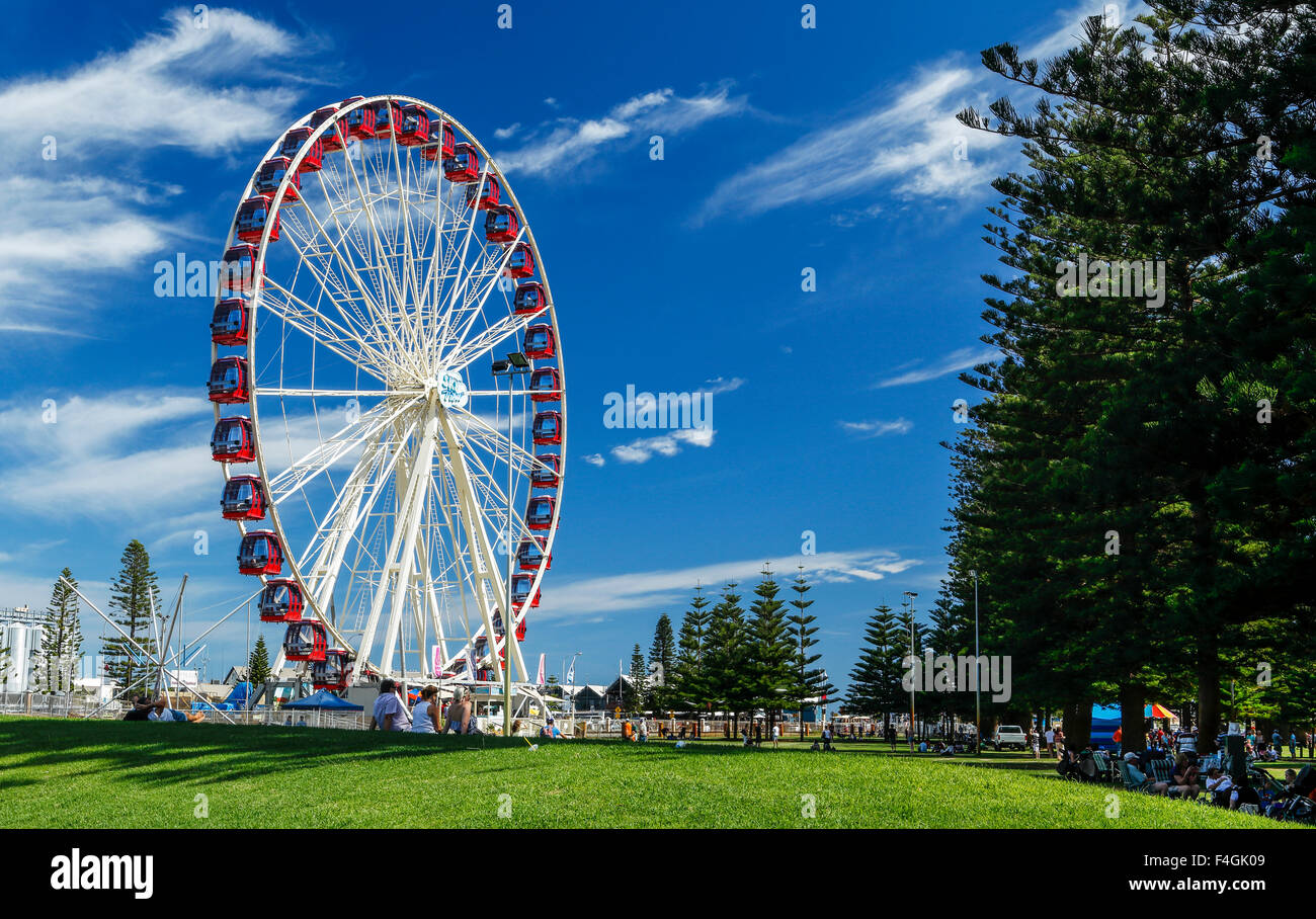 Das Fremantle Auge in der Stadt von Fremantle, Western Australia. Stockfoto