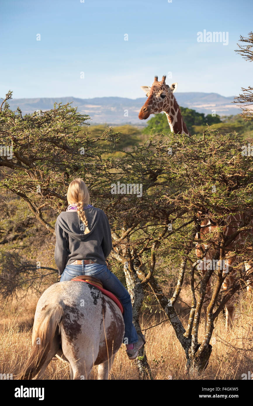 Junge Frau auf einem Pferd in Kenia eine Giraffe betrachten. Stockfoto
