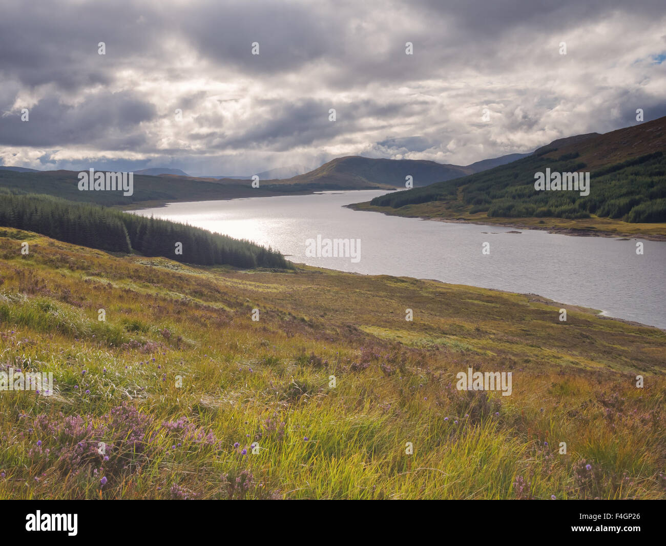Suche über Loch Ness, Schottland Stockfoto