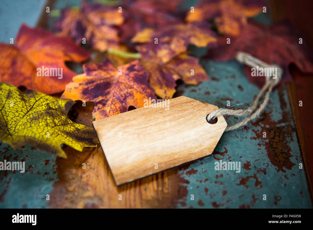 leer aus Holz-Tag auf alten Vintage Holztisch mit Blättern Stockfoto